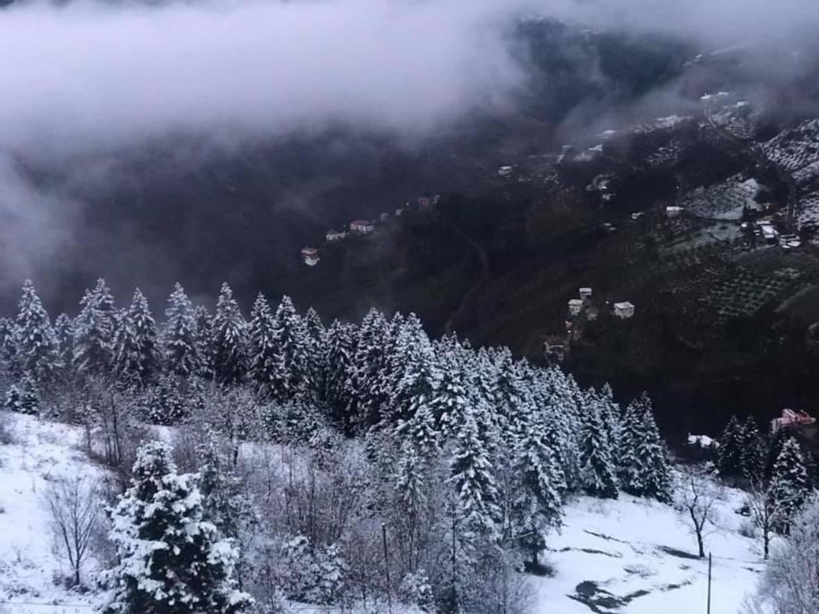 Meseici Butik Hotel Мачка Экстерьер фото